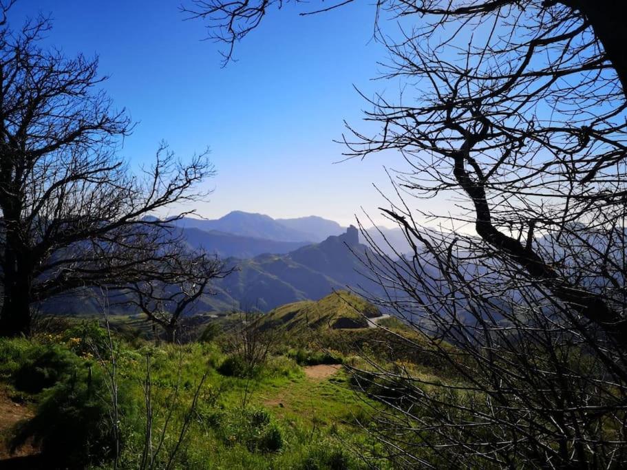 Los Matos, Canarian House In Valleseco ภายนอก รูปภาพ