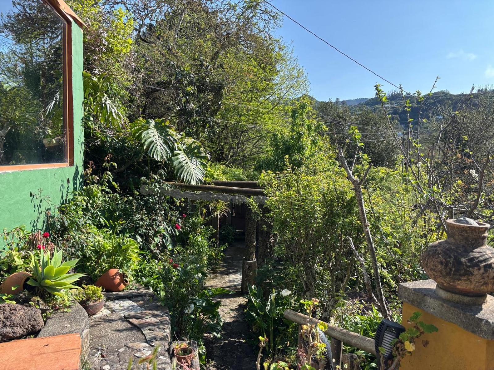 Los Matos, Canarian House In Valleseco ภายนอก รูปภาพ